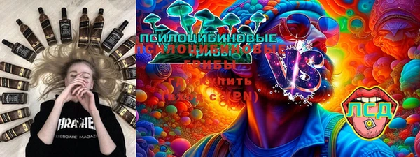 гидропоника Белокуриха