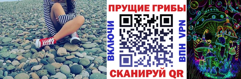 Галлюциногенные грибы MAGIC MUSHROOMS  где купить наркоту  Невьянск 